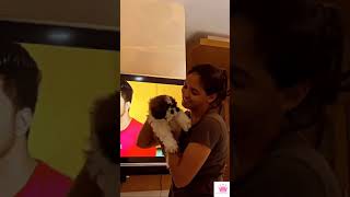 Harmanpreet Kaur dancing💃 with her pet  Dog Love  Cricket With Queens [upl. by Grishilde]