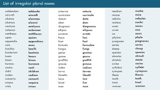 Irregular Plural Nouns in English  Singular and Plural Nouns [upl. by Sankey571]