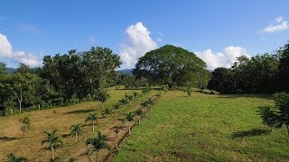 Finca Guanacaste de Cobano Costa Rica [upl. by Sherie523]