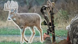 Top 5 Deer Hunting Tips For Ground Setups [upl. by Eirameinna]