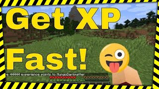 Minecraft XP Command  How to Get Experience The Quickest Way in Minecraft [upl. by Eitsirk]