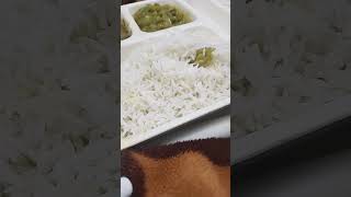 best light food shortsvideo viralvideo trending diet [upl. by Ronoh]