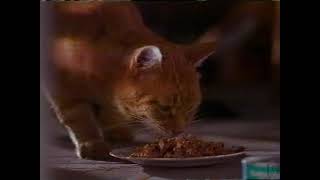 Friskies Miss Mew Cat Food Commercial 1991 [upl. by Koppel]