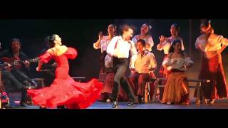 Mi Carmen Flamenca  Die flammende Seele Andalusiens [upl. by Nevag]