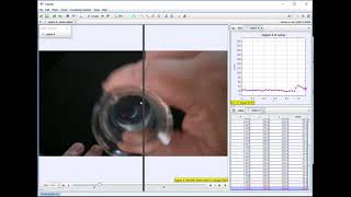 Reaction Rates using Tracker [upl. by Denman956]