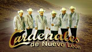 MIX LOS CARDENALES DE NUEVO LEÓN PUROS CORRIDOS [upl. by Sherrer]