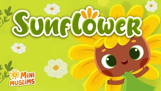 Muslim Songs For Kids 🌻 Sunflower ☀️ MiniMuslims [upl. by Dalenna]