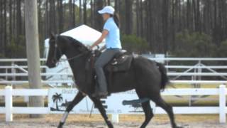 Gulf Coast Horse Show 2013 [upl. by Alekin656]