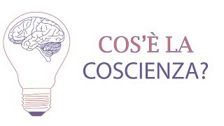 Cosè la coscienza INSIGHT La scienza della mente  Ep 5 [upl. by Eldwin]