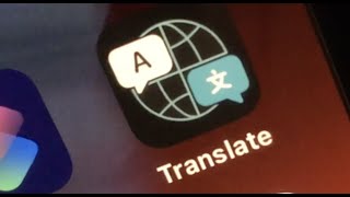 How to use Translate on iPhone iOS 14 [upl. by Laurent]