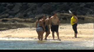 Aucklands Mission Bay beach reopened [upl. by Vittoria]