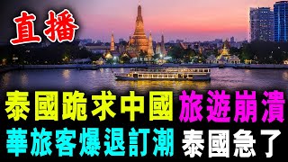 直播 泰國跪求中國 旅遊業徹底崩潰  中國旅客 爆退訂潮 泰國急了   新潮民 SCM10 [upl. by Walt]