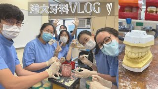 dental diaries🦷港大牙科 vlog sim lab [upl. by Anaugahs]