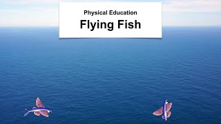 Physical Education Flying Fish [upl. by Genevieve179]