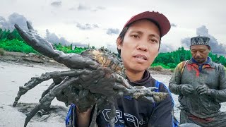 Semua Kepiting Jumbo Takluk di Tangan Bang Haji [upl. by Keeler]