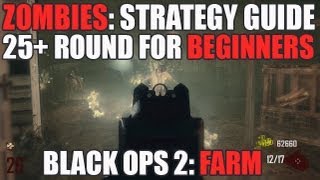 Zombies Farm Solo Strategy Guide High Rounds For Beginners  Black Ops 2 hd [upl. by Cyrilla307]