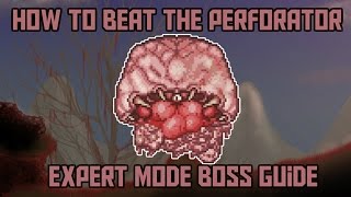 How to beat the Perforator in Terraria Calamity Expert Mode Boss Guide [upl. by Aihsenod58]