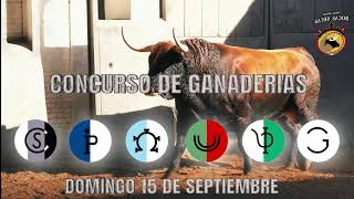 Plaza de toros de las ventas Estos son los toros para el concurso de ganaderías de septiembre [upl. by Studdard236]