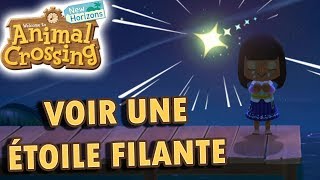 Voir une Étoile Filante Faire un Voeu et Obtenir un Fragment d’Étoile  Animal Crossing New Horizons [upl. by Annehs]