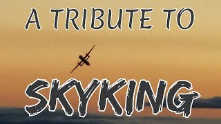 Tribute to SkyKing [upl. by Jecon]