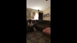 Dog stolen from yard reunites with family after almost 5 years [upl. by Kcirdec38]