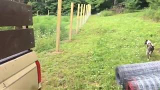 Installing wire fencing amp tighteningpulling with a winch Quick amp Easy [upl. by Eizzik198]