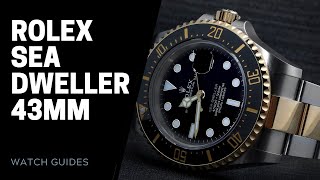 Rolex Sea Dweller 43mm Guide 126600 126603  SwissWatchExpo [upl. by Irret57]