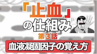 止血の仕組み③「血液凝固因子の覚え方PT時間とAPTT」 [upl. by Fu]