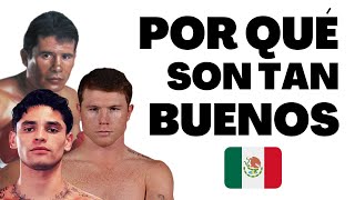 POR QUÉ son TAN BUENOS los BOXEADORES de MEXICO [upl. by Anneirda426]