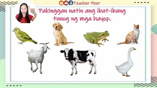 Ibat Ibang Tunog ng Mga Hayop Online Lesson  Virtual Lesson [upl. by Erihppas]