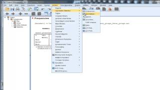 Mean Median Mode  SPSS [upl. by Sirah963]