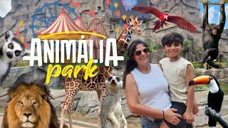 CONHEÇA O ANIMÁLIA PARK  COTIASP [upl. by Lebaron901]