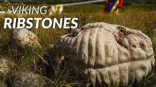 Mysterious Ancient Indigenous Carved Stones Explored  Viking Ribstones【4K】 [upl. by Atnuahs]