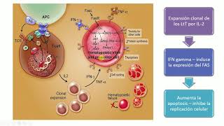 VIDEO  Anemia Aplasica [upl. by Feledy524]