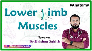 Lower Limb Muscles  Anatomy  Live Streaming By Dr Krishna [upl. by Alcine]