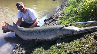 MONSTER ALLIGATOR GAR FISHING IN TEXAS WITH ROD AND REEL [upl. by Wooldridge]