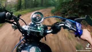 Rebel 250 cmx scrambler group trail ride [upl. by Edas142]