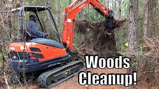 How to Clear Brush FAST With Mini Excavator  Kubota KX713 [upl. by Ayaros]