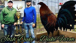 Nice Farm DUKE Farm  Josh Duke [upl. by Suoivatram]