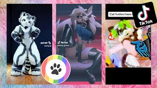 Furry TikToks Compilation 12 [upl. by Gracie]