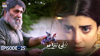 Neeli Zinda Hai Episode 25 Subtitle Eng  23rd September 2021  ARY Digital Drama [upl. by Rossen508]