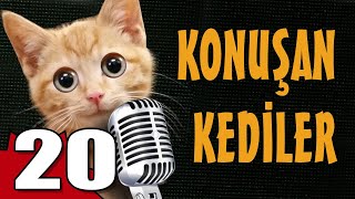 Konuşan Kediler 20  En Komik Kedi Videoları [upl. by Eahc508]