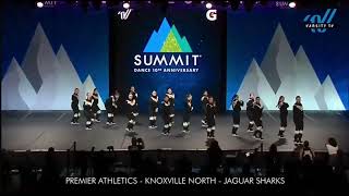 2024 Dance Summit  Premier Athletics Knox North  Jaguar Sharkslarge junior hip hop 🥈 [upl. by Primaveras]