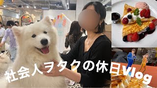 【Vlog】デカ犬‼️サモエドカフェに行ってきたよ〜〜〜〜〜🐶💖原宿カフェ餃子🥟社会人ヲタクの休日Vlog [upl. by Sivla709]