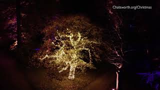 Christmas garden light trail at Chatsworth 2022 [upl. by Zednanref]