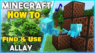 How to FIND and USE The ALLAY  Minecraft 119 Easy Tutorial [upl. by Nnauol]