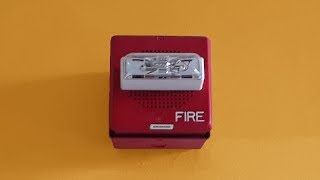 Loud Siemens Fire Alarm [upl. by Anura635]