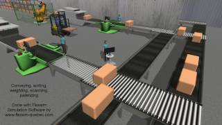 Conveyor system simulation with Flexsim [upl. by Edmanda]