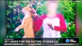 Vet accused of killing cat with arrow [upl. by Ttelrahc]