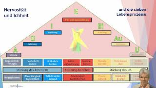 Die sieben Lebensprozesse und die Übungen zur Überwindung der Nervosität Stressabbau garantiert [upl. by Emogene]